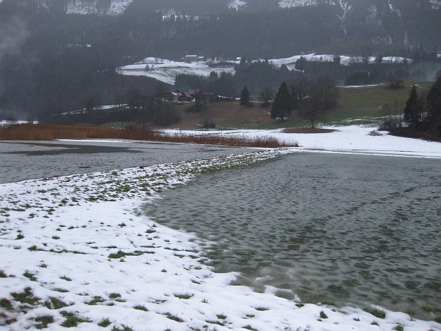 bild (11)